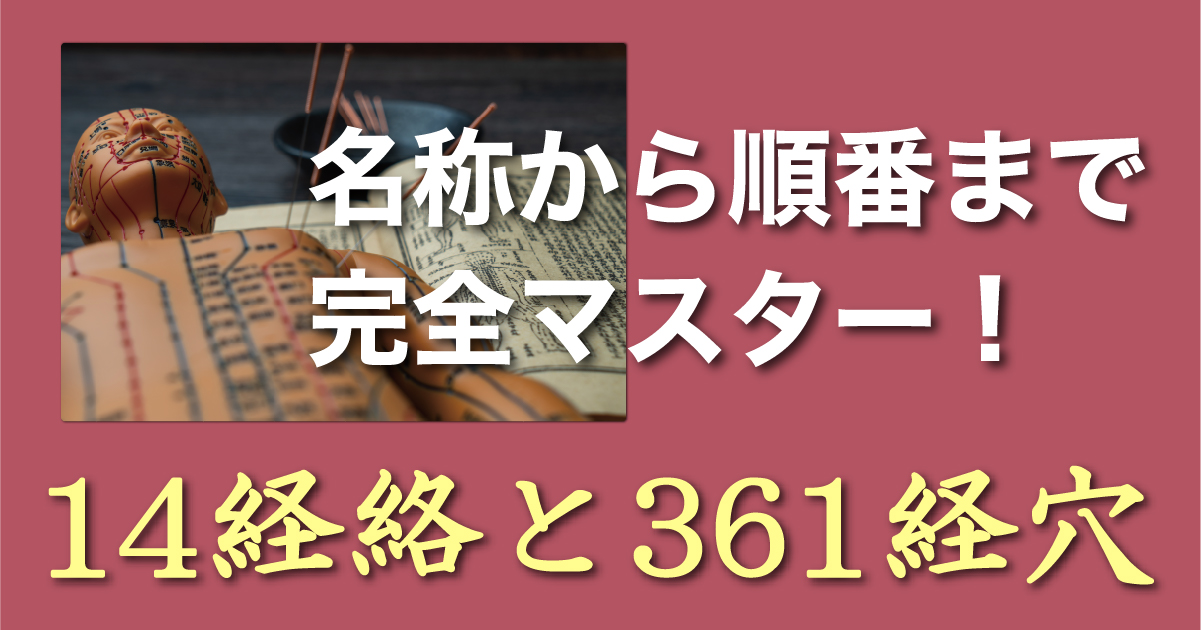 名称から順番まで完全マスター 14経絡と361経穴