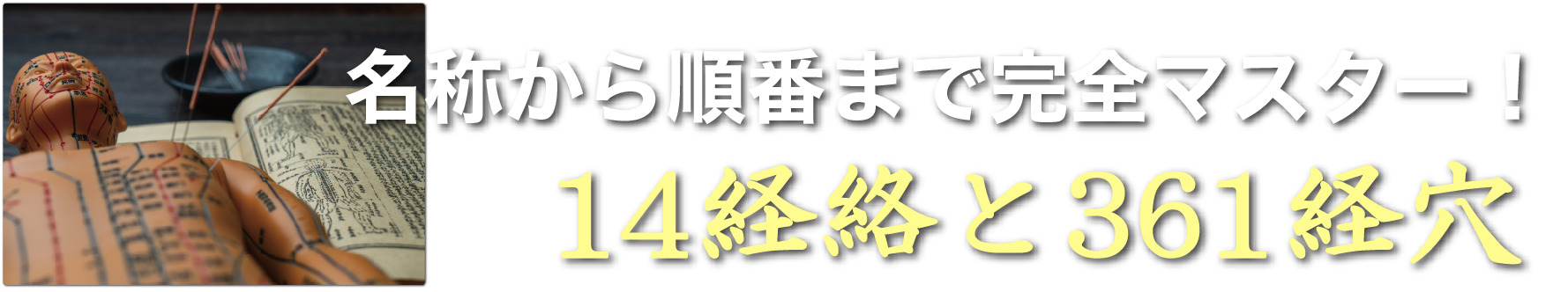 名称から順番まで完全マスター 14経絡と361経穴