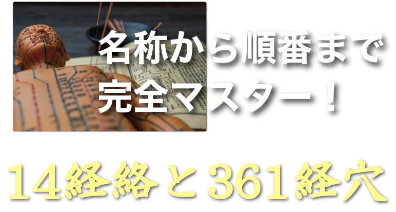 名称から順番まで完全マスター 14経絡と361経穴