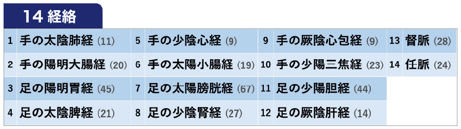 14経絡
